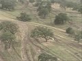 Carnegie OHV near livermore CA