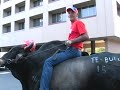 The Bull Whisperer - Lyle Brown, Gainesville, FL