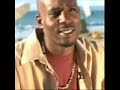 The dog dmx