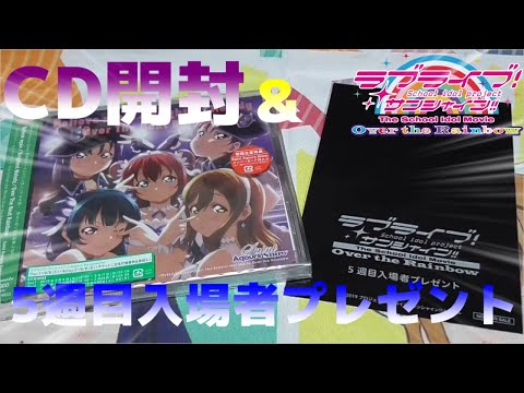 動画