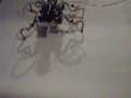Walking Robot with Pneumatic legs