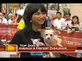 Maddy is a champion on the Today Show Maddy is a champion on the Today Show