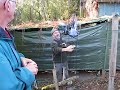 working the pigeons at the palombi�re.