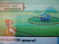 Shiny Electrike pokeradar chain pokemon diamond chaining