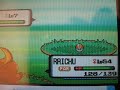 Shiny Electrike pokeradar chain pokemon diamond chaining