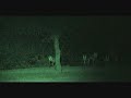 CUIDADO!!! lince ibérico
