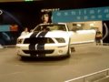 car show.