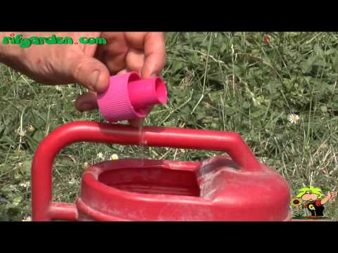 how to fertilize bottlebrush