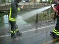 videos de lavaggio bue