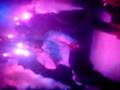videos de Alexis hasta abajo