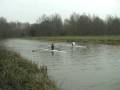 Sudbury RC November Head to Head Division 2 part 2.wmv
