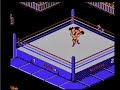 fun in the squared circle, nes style!