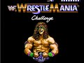fun in the squared circle, nes style!