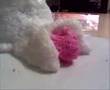 Foamation
