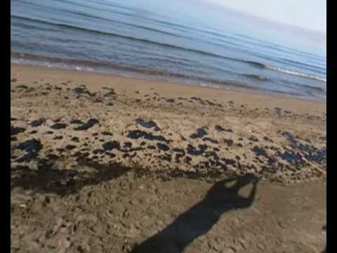 YouTube Video - Marea nera in Sardegna  - Golfo dell'Asinara