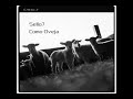 Como Oveja - Sello7