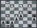 A game against a chess engine (Fritz 11).