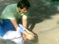 Ariel gOLpeadOr