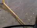 rogator rogator