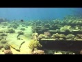 Bekijk video