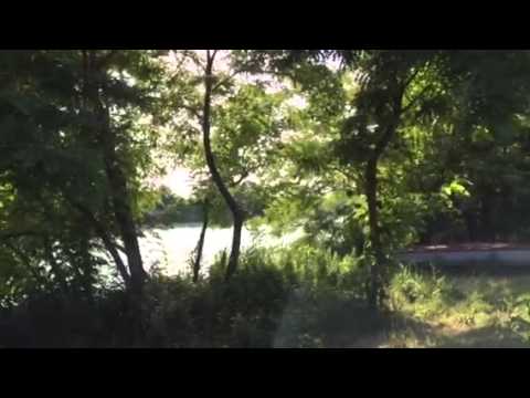 Immagine anteprima YouTube