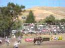 buckin broncs