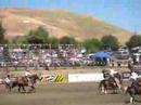 buckin broncs