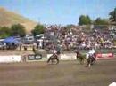 buckin broncs