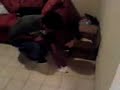 Luis Carlos vs La Cucaracha