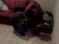 videos de Luis Carlos vs La Cucaracha