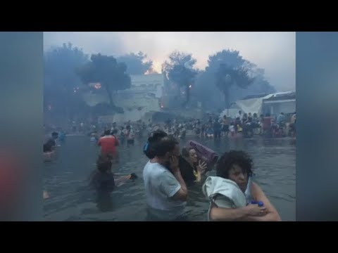 Griechenland: Nach Waldbränden steigt die Zahl der ...