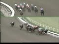 1997 Hollywood Futurity (GI) - Real Quiet