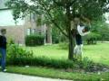 videos de Climbing a tree