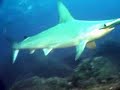 Cocos Islands