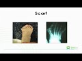 Mr R Lloyd Williams - Minimally Invasive Surgery Mr R Lloyd Williams - Minimally Invasive Surgery