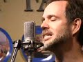 david wilcox performs 