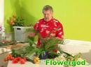 Exotic Luau Centerpiece EP#38 Exotic Luau Centerpiece EP#38