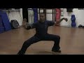Chen Style Tai Chi -Old Frame 1st Routine Short Form