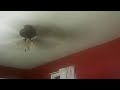 Click here to watch this video Dare You To Move :: [A Autistic Story] Epi One