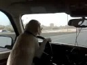 Best Driver in Kuwait