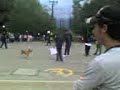 unversidad del tolima parte 3