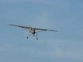 Storch landing
