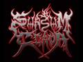 SURSUM CORDA - PRINCIPIO BASTARDO.wmv