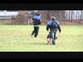 Niagara Hundesport Schutzhund Trial - Millviews Xena z Burlington