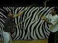 videos de DESTREZA.AVI