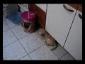 seguimos jugando