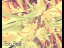 Naden - Too Fast