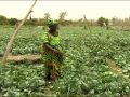 Vidéo De La Journée Mondiale De L alimentation 2010