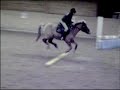 Elin and Lina Horse Jumping Elin and Lina Horse Jumping