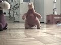 Dinodance